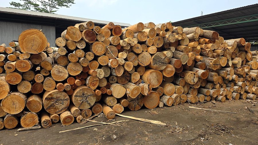 Mill log yard